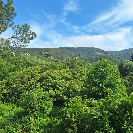 Artemisia Апартаменты *