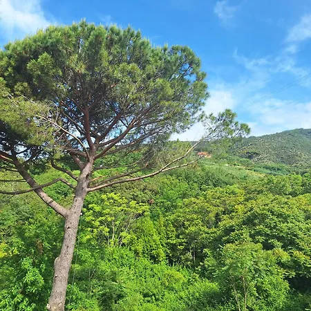 Апартаменты Artemisia Сестри-Леванте